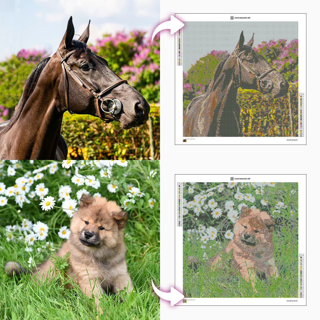 Custom Diamond Painting Kit